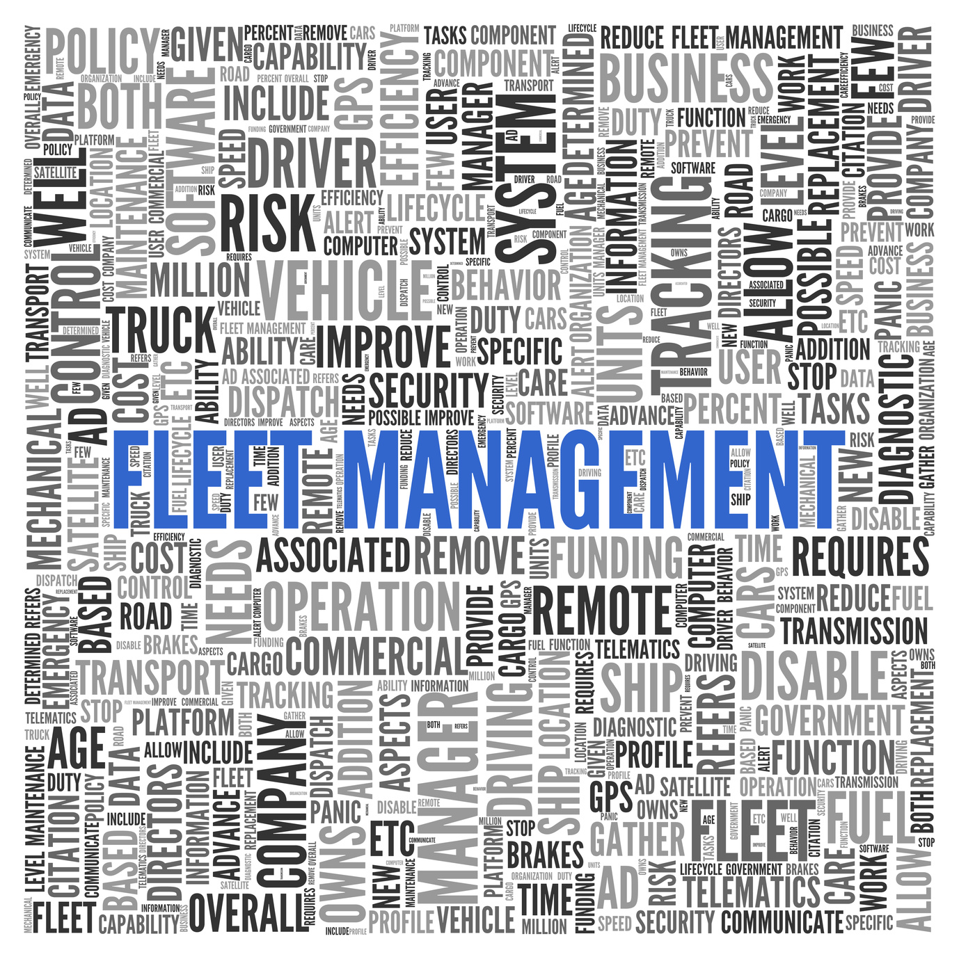 fleet management