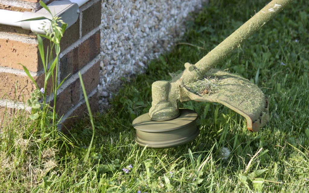 Which is the Best Cordless Weed Eater?