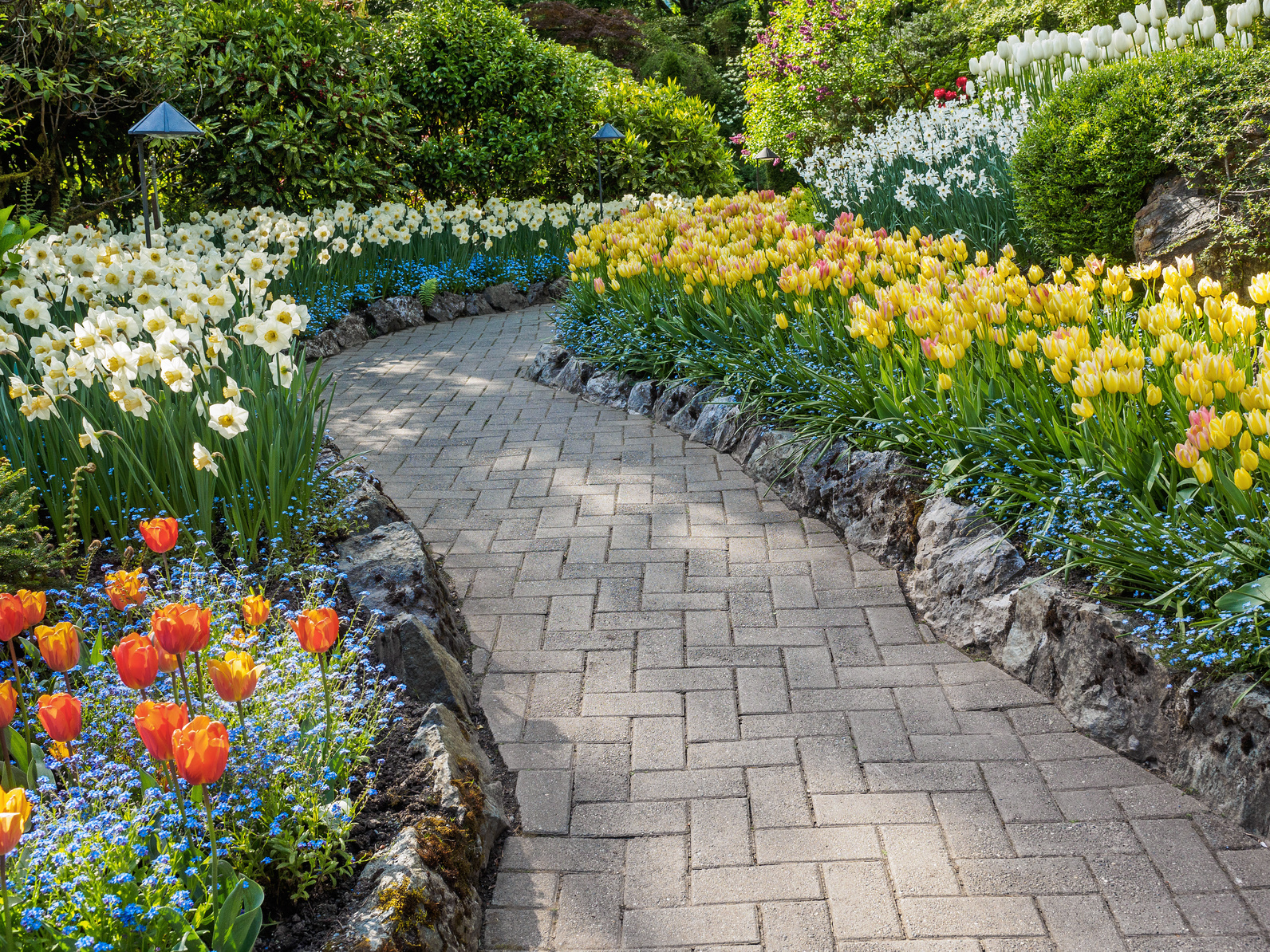 pavers for walkway