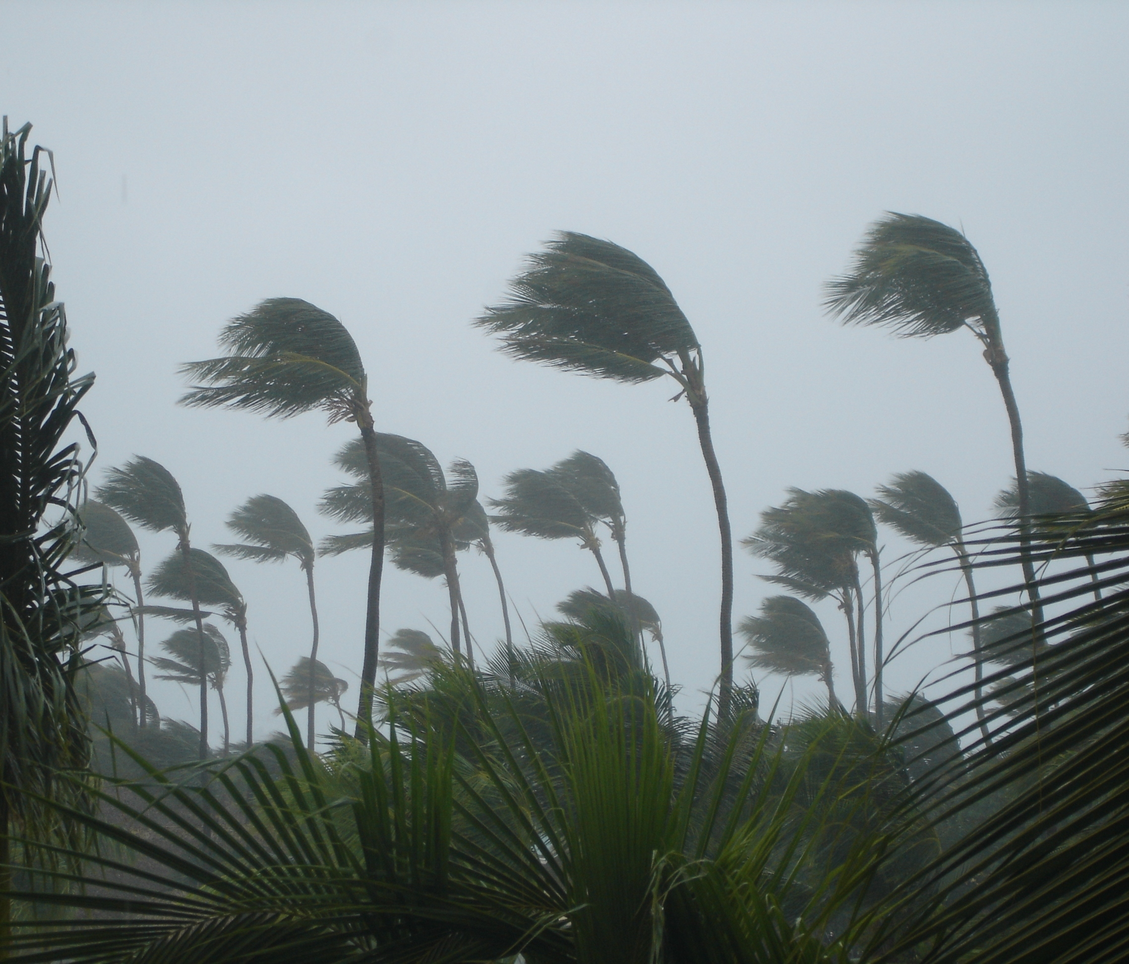 what is a tropical storm