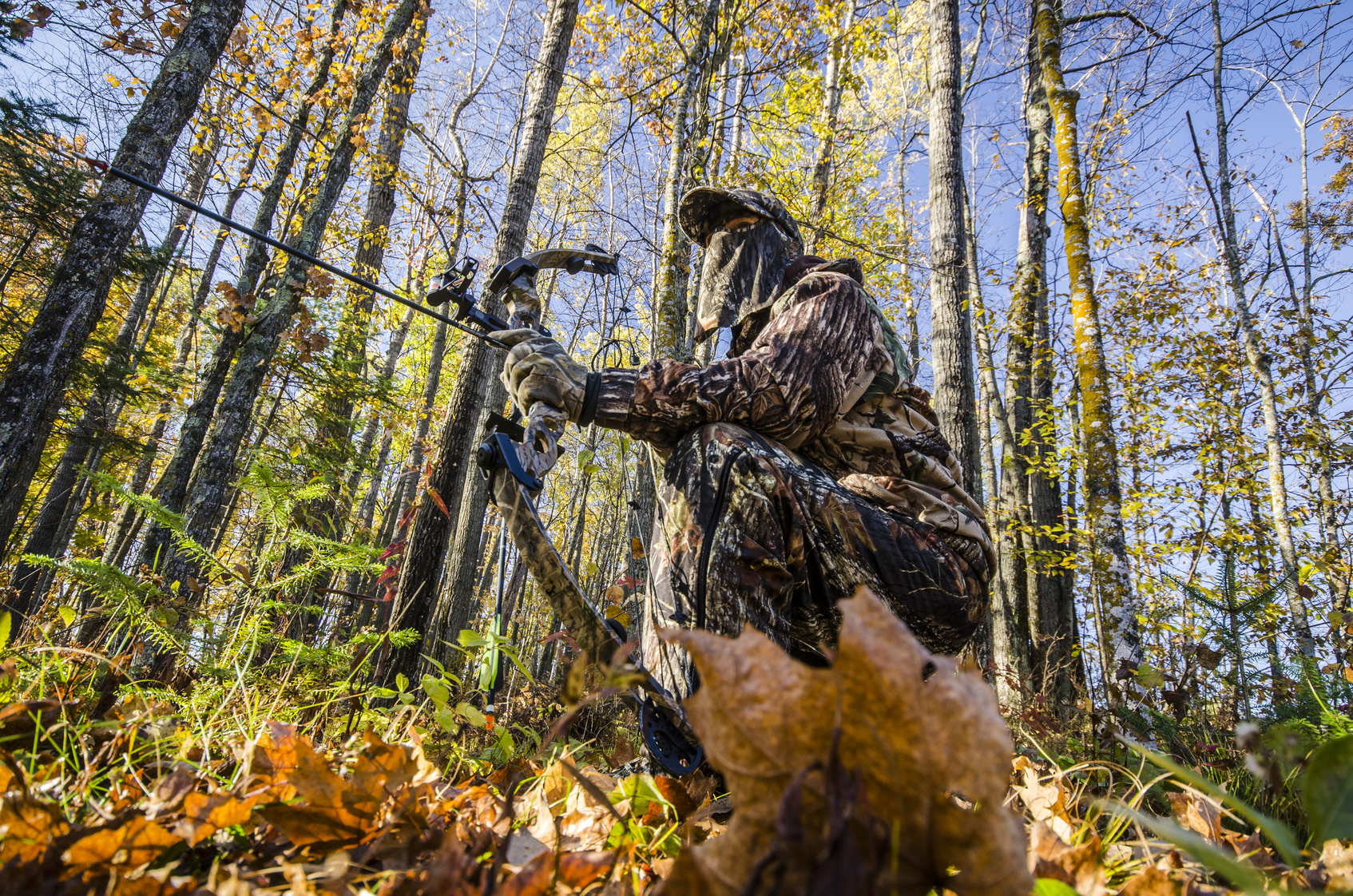 5 Deer Hunting Tips That Will Make You a Top Predator