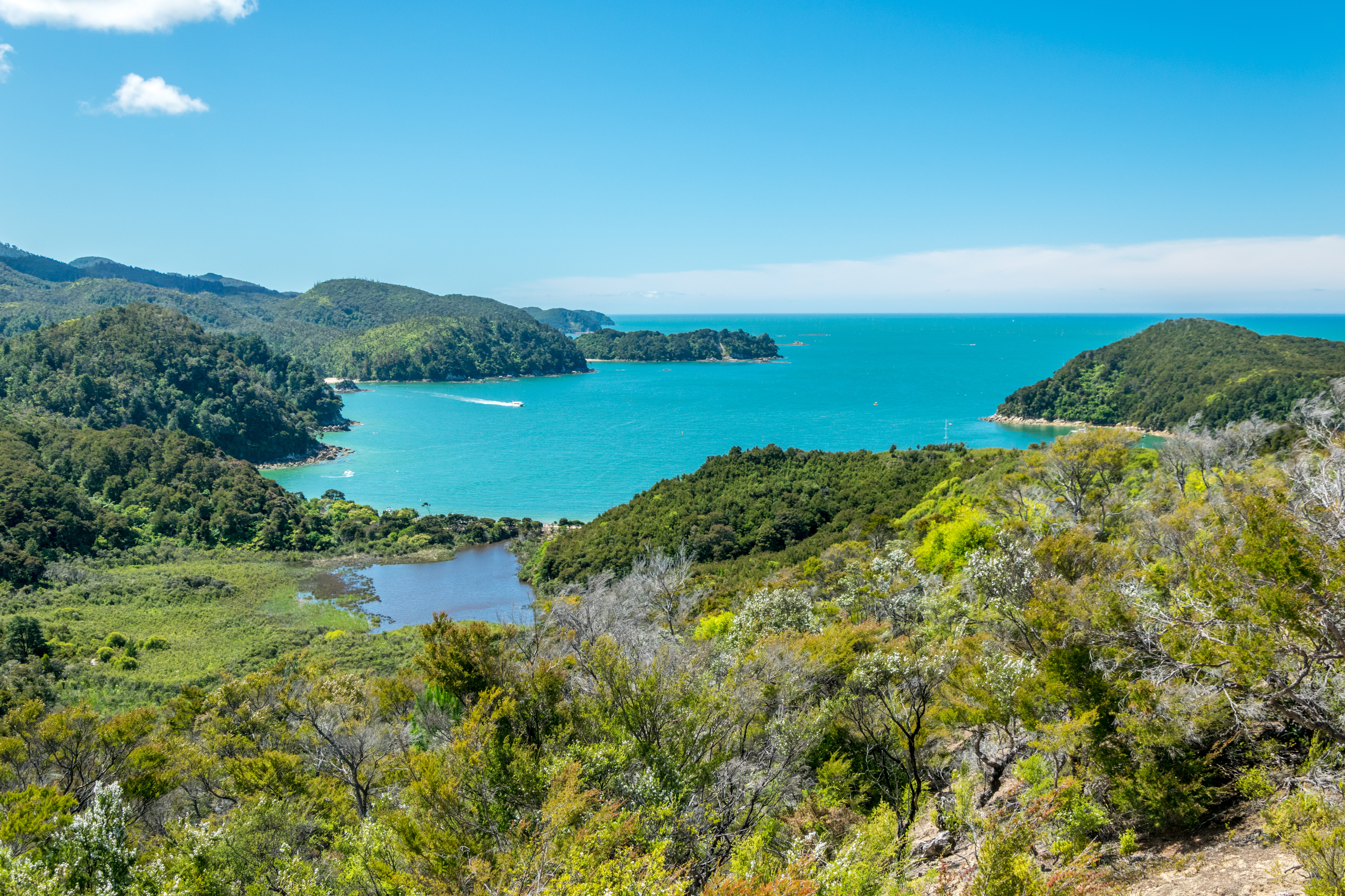 top things to do in new zealand