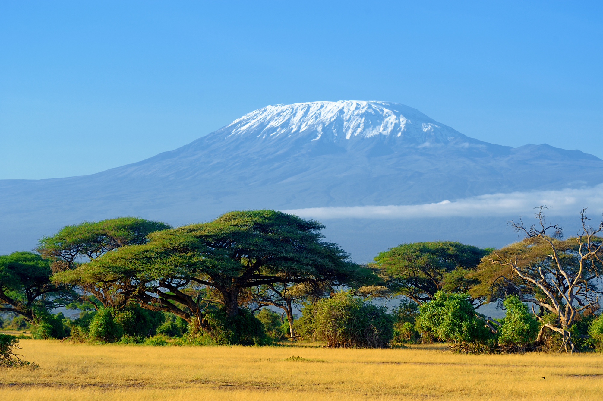 things to do in Tanzania