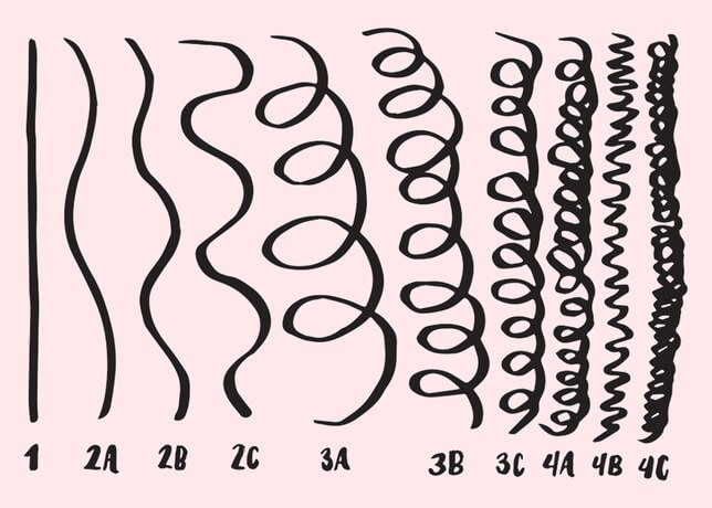Natural Hair Types Chart 4c