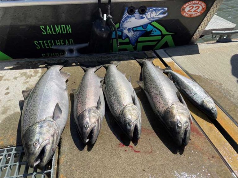 Ready for the 2022 Salmon Fishing Seasons?