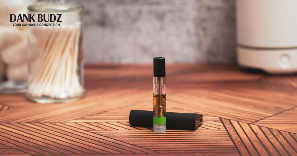 Everything You Need to Know About the Proper Care and Use of Cannabis